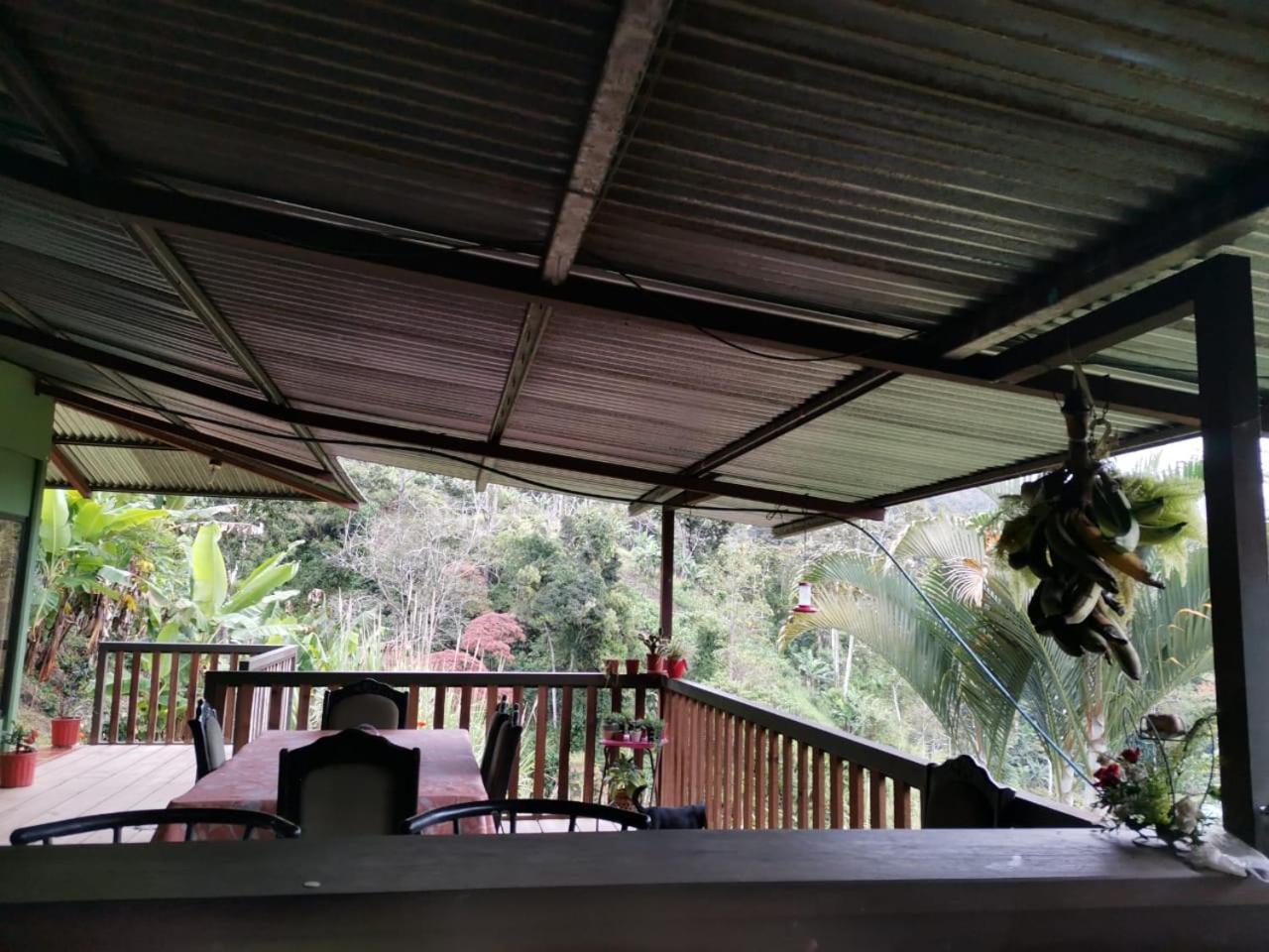 Bella Vista Guest House Turrialba Ngoại thất bức ảnh