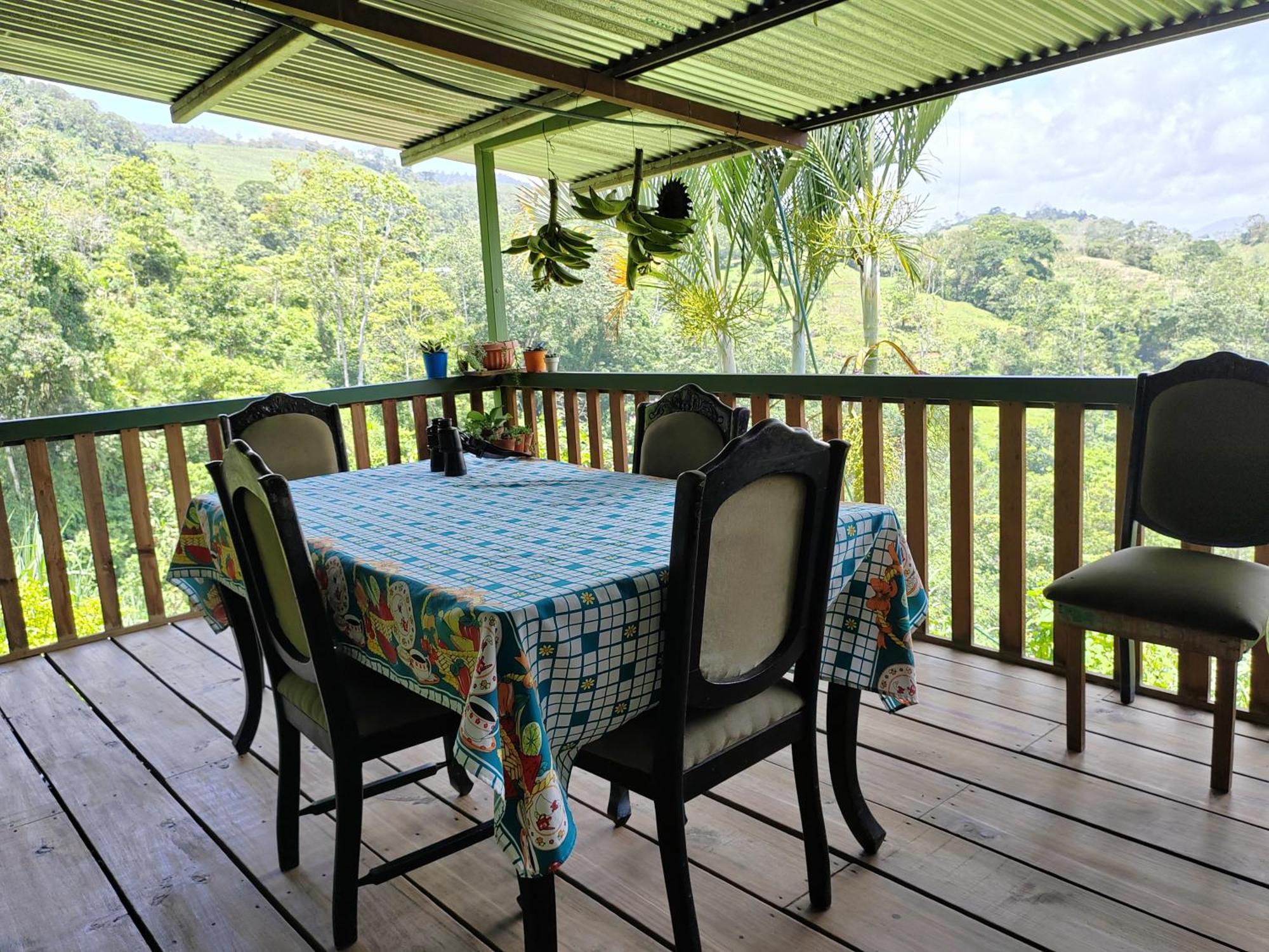 Bella Vista Guest House Turrialba Ngoại thất bức ảnh